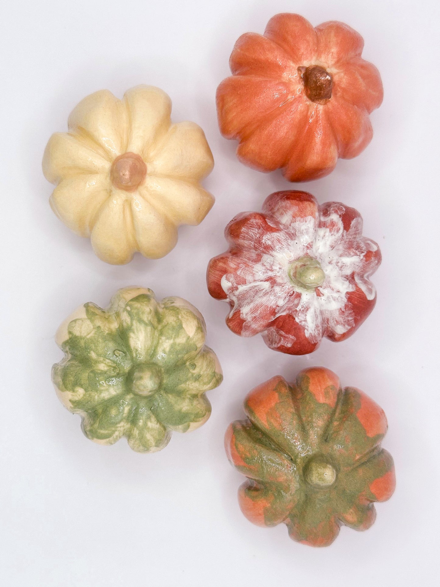 Dovlecel Decorativ Roșu cu Alb